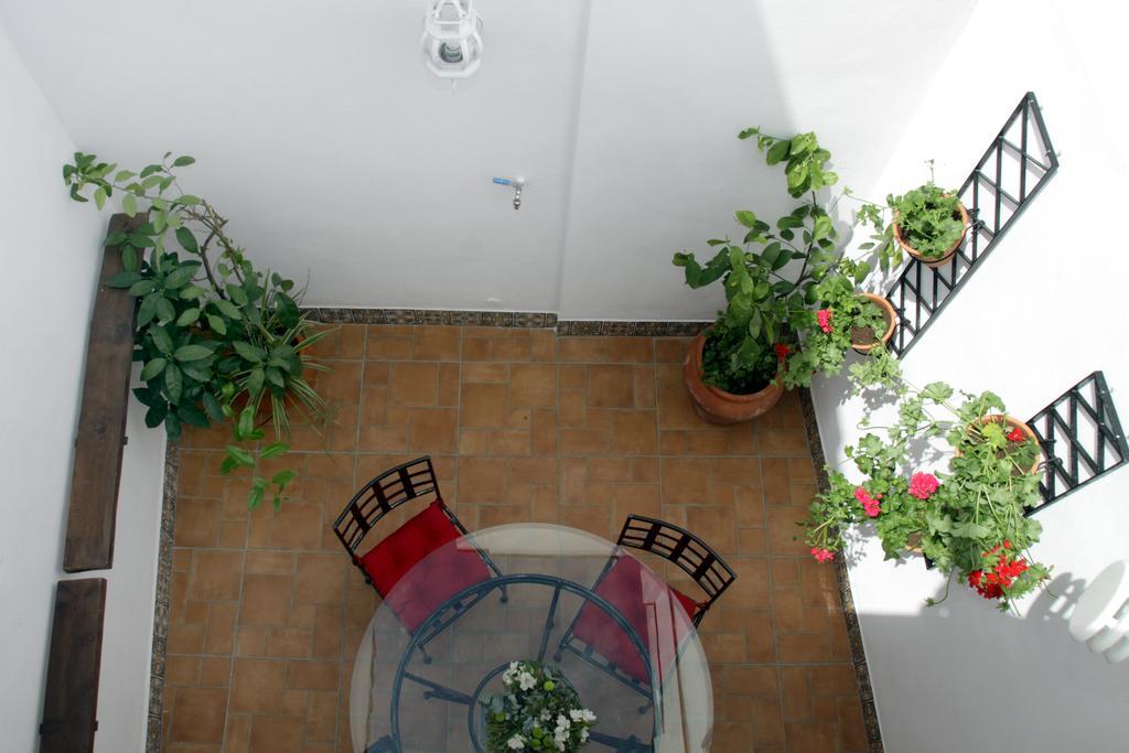 Apartamentos San Fernando 76 Кордоба Екстериор снимка